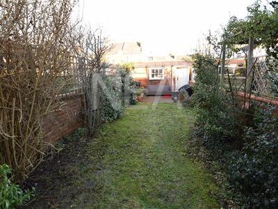 Picture 11